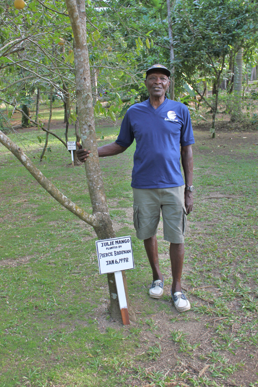 Mr Ramsey Ian Flemings gardener: with tree planted by Pierce Brosnan januari 6 1998.