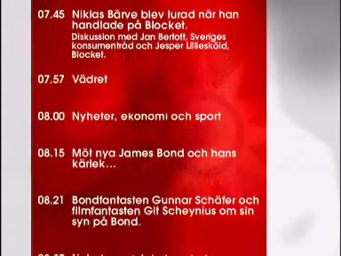 Guinnar Schäfer i Nyhetsmorgon 23-11-2007 på tv 4